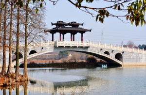 東湖落雁景區 東湖落雁景區