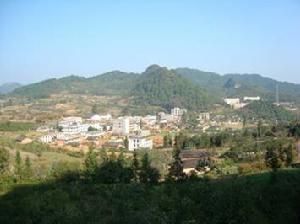 楊柳井鄉 楊柳井鄉