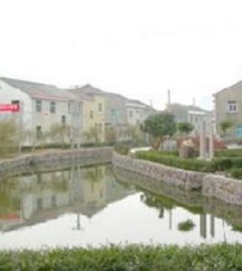 石山頭村 石山頭村