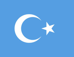 東突厥斯坦伊斯蘭運動 東突厥斯坦伊斯蘭運動