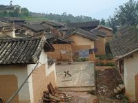 大青樹村 大青樹村