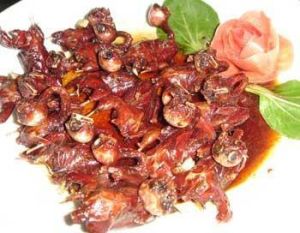 丁香麻雀 丁香麻雀