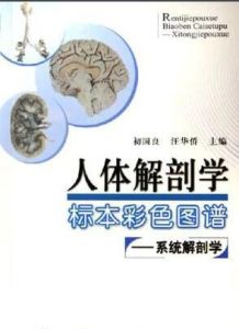 人體解剖學標本彩色圖譜 人體解剖學標本彩色圖譜