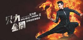 2013年王力宏演唱會 2013年王力宏演唱會