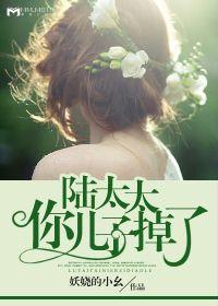 陸太太,你兒子掉了 陸太太,你兒子掉了