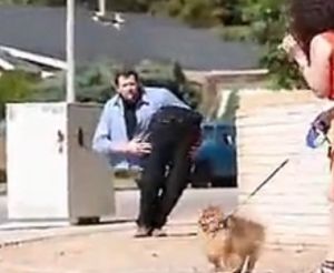 安迪·克洛斯 安迪·克洛斯