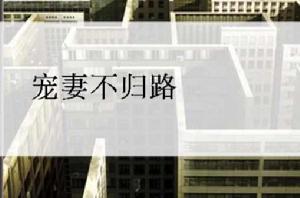 寵妻不歸路 寵妻不歸路