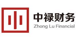 杭州中祿財務諮詢有限公司 杭州中祿財務諮詢有限公司