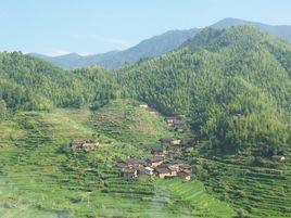 對門村[雲南省祿勸縣撒營盤鎮下轄村]
