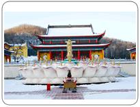 大亮子河國家森林公園