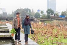 百科周觀影指南第55期