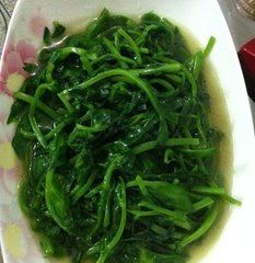 素炒豌豆尖 素炒豌豆尖