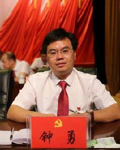 鍾勇[江西省萍鄉市蘆溪縣委常委、縣委宣傳部部長]