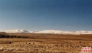 安南壩野駱駝自然保護區