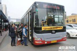 鹹陽公交21路 鹹陽公交21路