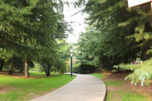 陽光波爾多運動休閒主題公園 陽光波爾多運動休閒主題公園