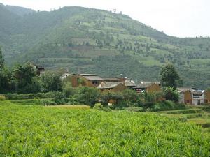 大紅坡村[雲南省石屏縣大橋鄉下轄村]