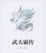 武天霸傳 武天霸傳