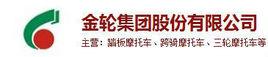 金輪集團股份有限公司 金輪集團股份有限公司