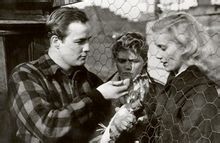 《碼頭風雲》的劇照