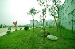 安徽農業大學涉外經濟學院 安徽農業大學涉外經濟學院