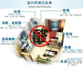 室內空氣污染氣體 室內空氣污染氣體