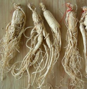 固脾和中散[固脾和中散]