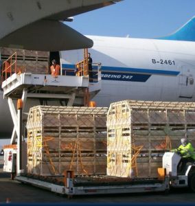 包機運輸 包機運輸