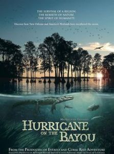 海灣的颶風 海灣的颶風