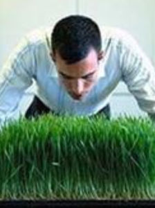 植物神經失調 植物神經失調