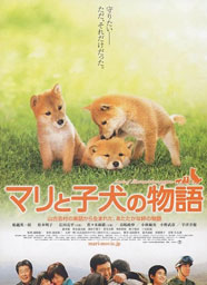 《瑪麗和它的小狗們的故事》