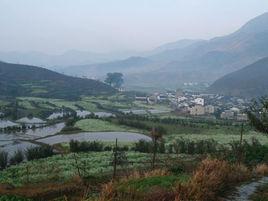 官坑村[廣東省平遠縣中行鎮官坑村]