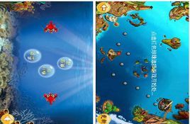 憤怒的蝦米 憤怒的蝦米