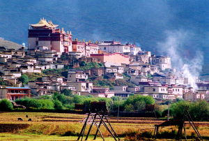 覃建華攝影作品