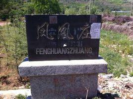 鳳凰莊村[山東膠南市大場鎮下轄村]