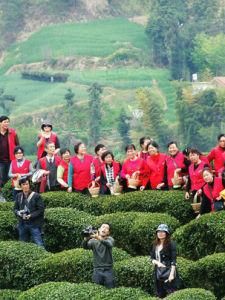 英山論壇 英山論壇