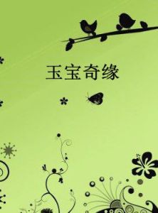 玉寶奇緣 玉寶奇緣