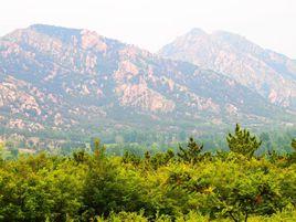 蛤蟆山村[隸屬於下碑寺鄉]