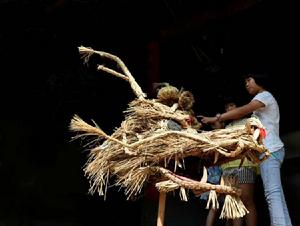 開化草龍 開化草龍