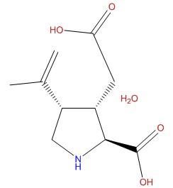 泛氨酸 泛氨酸
