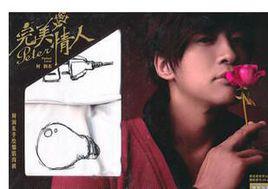 完美情人[季可薔創作小說]