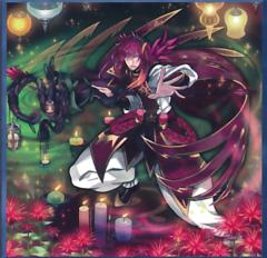 芳香法師-香蜂草 芳香法師-香蜂草