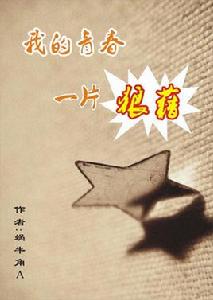 我的青春一片狼藉