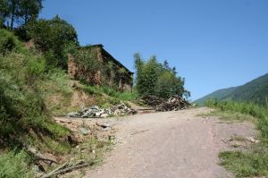 西桃坪自然村 西桃坪自然村