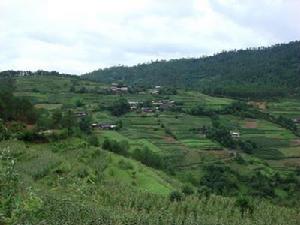 東至岩村 東至岩村