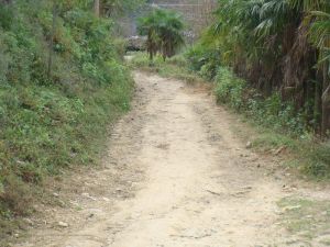 嚆枝林自然村 嚆枝林自然村