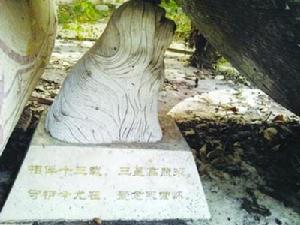 天價狗墓 天價狗墓