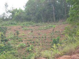 文保村自然村 文保村自然村