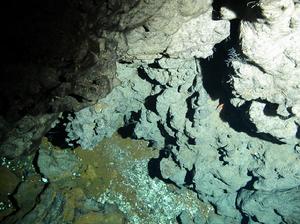 熱液研究 熱液研究