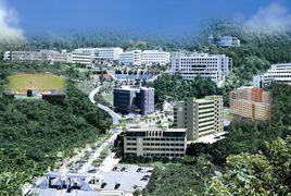 韓國國際大學 韓國國際大學